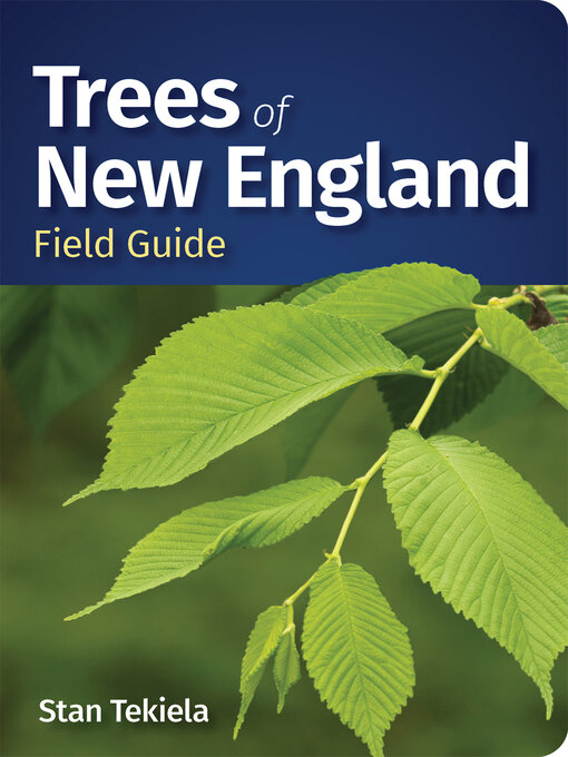 Title details for Trees of New England Field Guide by Stan Tekiela - Available